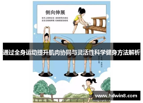 通过全身运动提升肌肉协同与灵活性科学健身方法解析